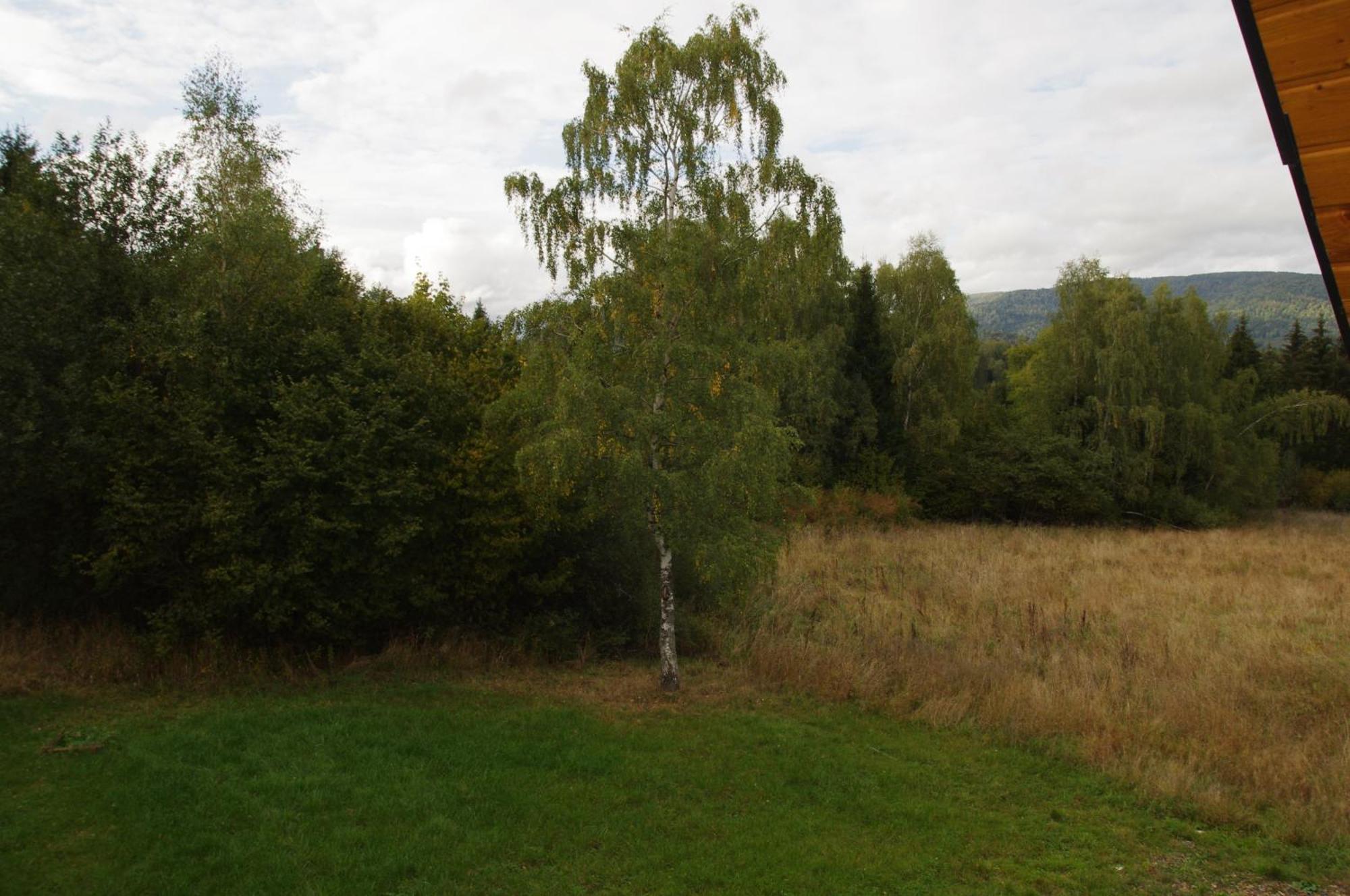 Magiczne Bieszczady - Smerek 86 Hotel Cisna Exterior foto